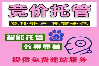 百度广告推广案例解析